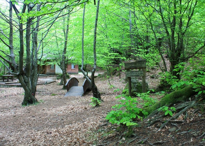 Erikli Yaylası - Şelalesi